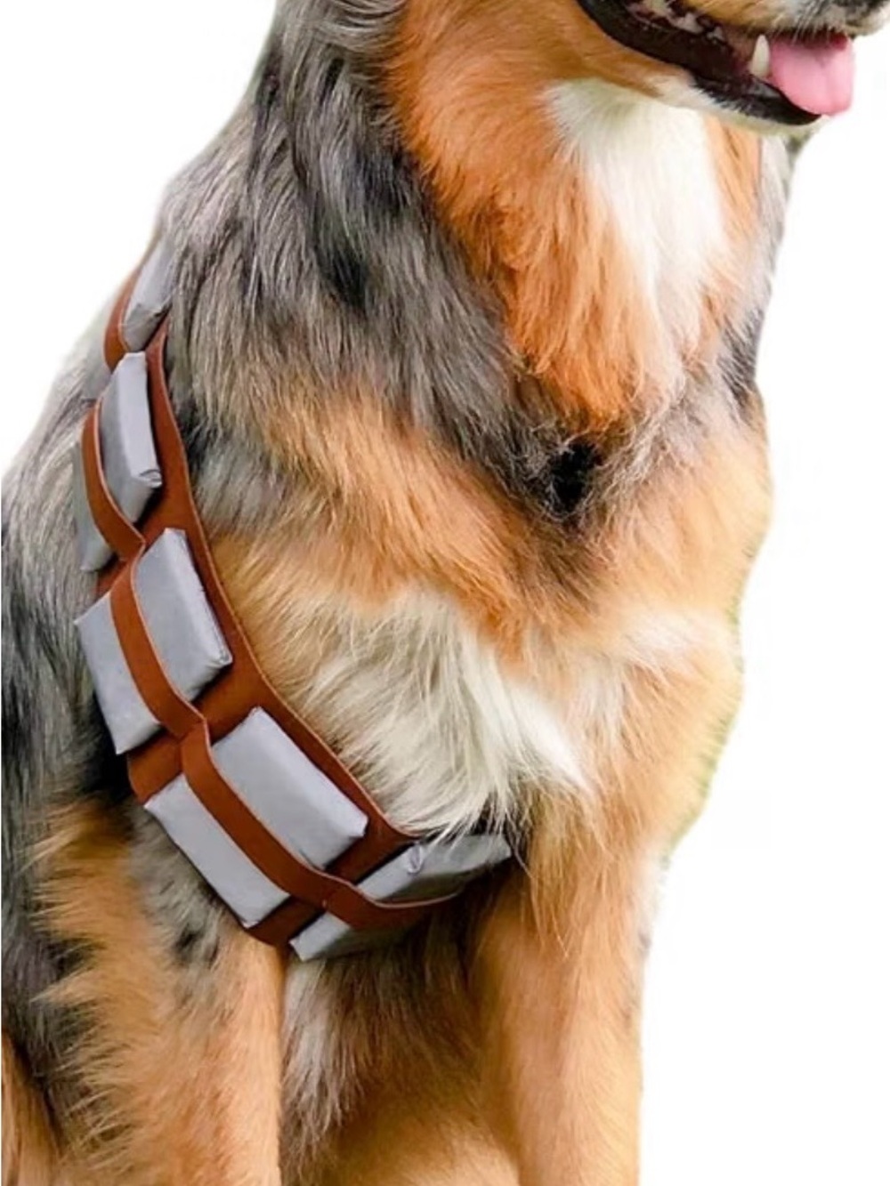 Adjustable Brown and Gray Reflective Dog Chest Harness - Brand Unknown